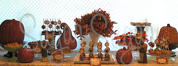 Thanksgiving 2 (Photo Credit: SSCS)