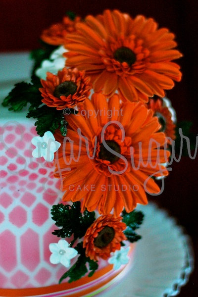 Summertime - detail (Photo Credit: SSCS)