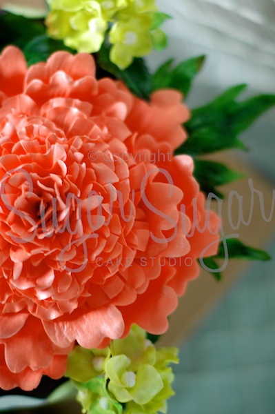 Double Peony - detail (Photo Credit: SSCS)
