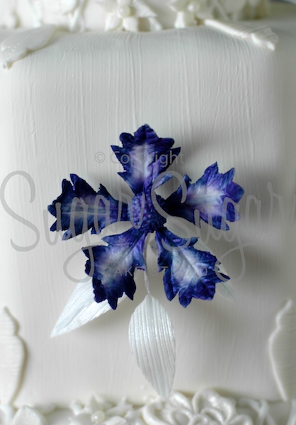 Applique Lace - detail (Photo Credit: SSCS)