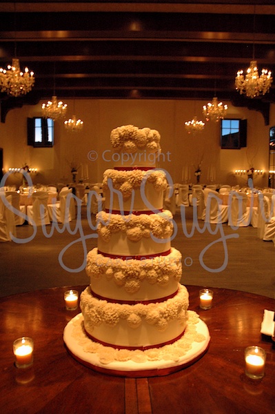 Chrysanthemums (Photo Credit: SSCS)