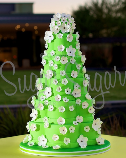 White Blossoms (Photo Credit: RGP)