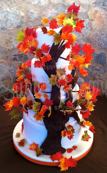 Fall Leaves (Photo Credit: SSCS)